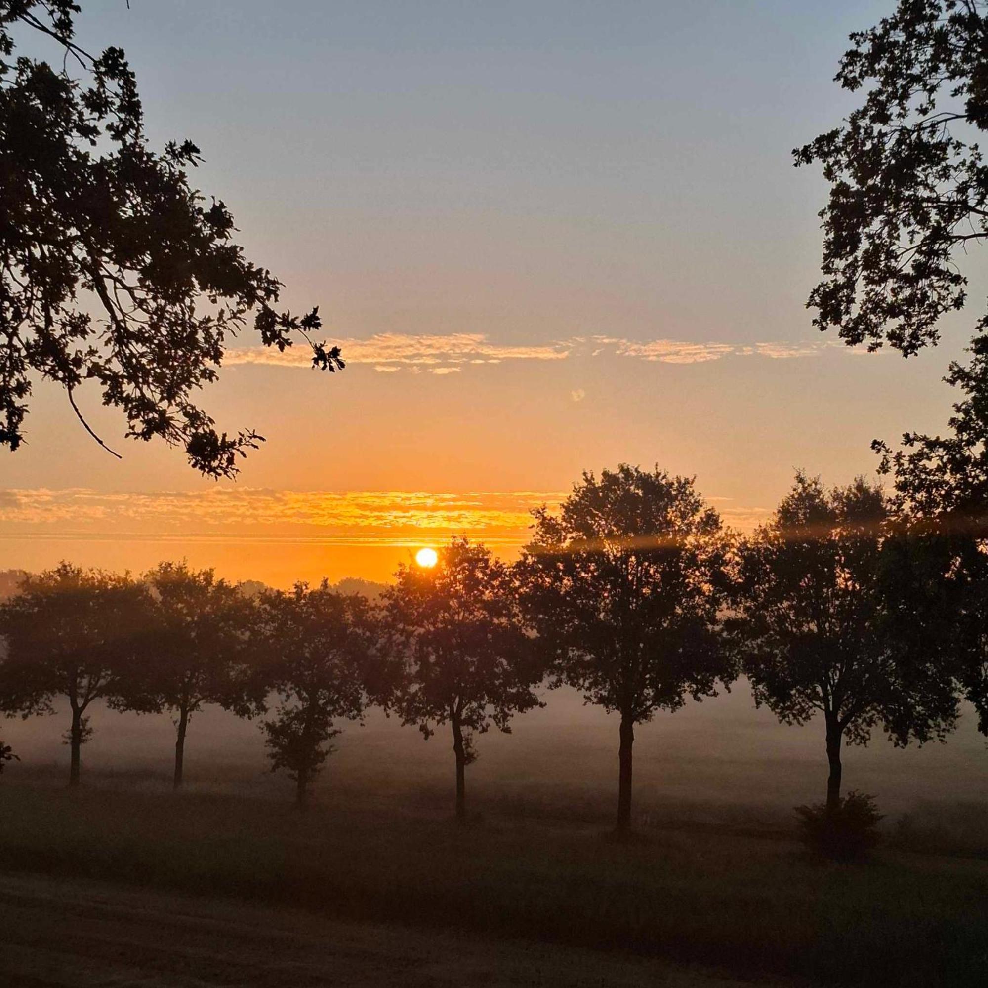 Hotel Het Witte Veen Witteveen エクステリア 写真